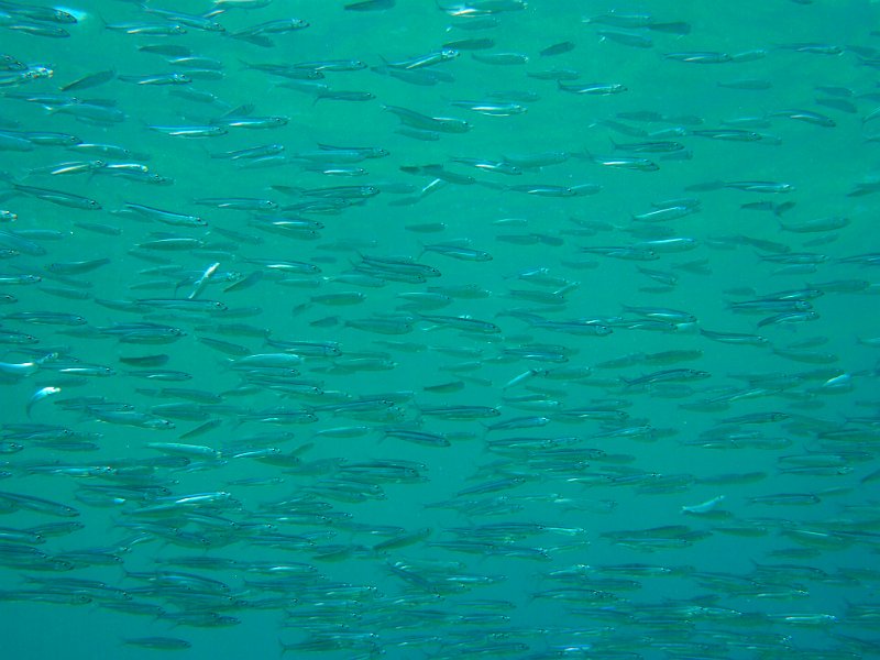Curacao 04-12 072.JPG